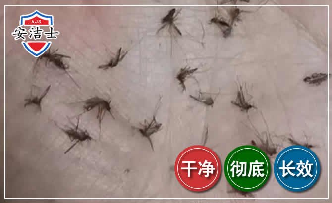 保亭蚊子防治-灭蚊