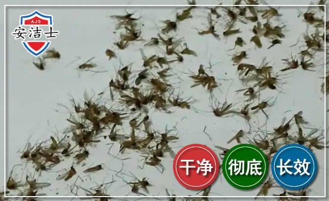 保亭苍蝇防治-灭蝇