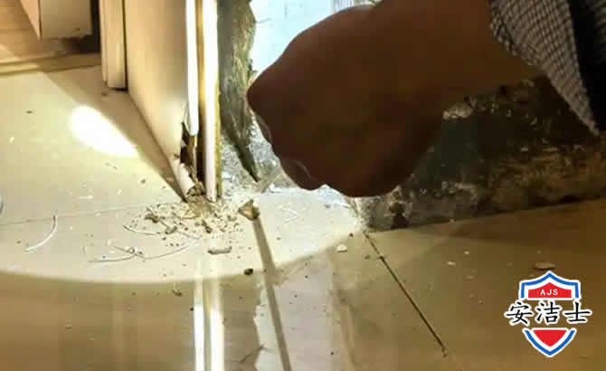 保亭房屋建筑防治白蚁