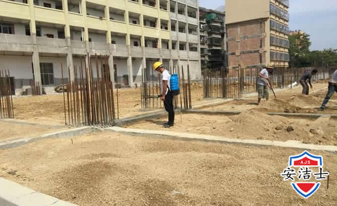 保亭学校机关防治白蚁