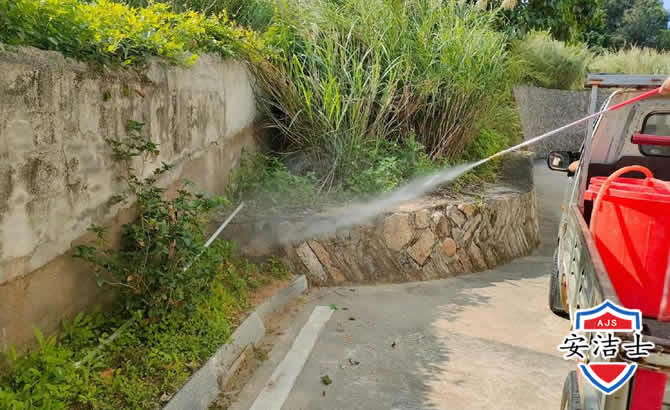保亭道路堤坝白蚁防治