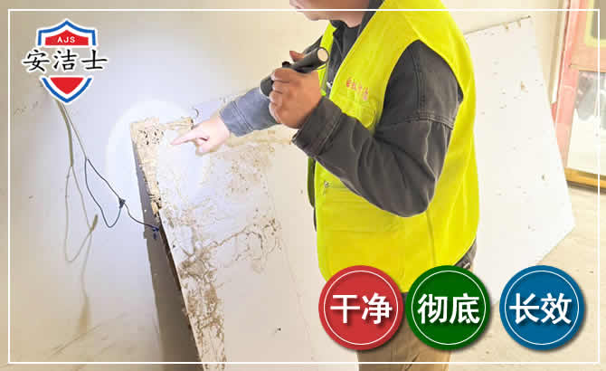 保亭除白蚁现场