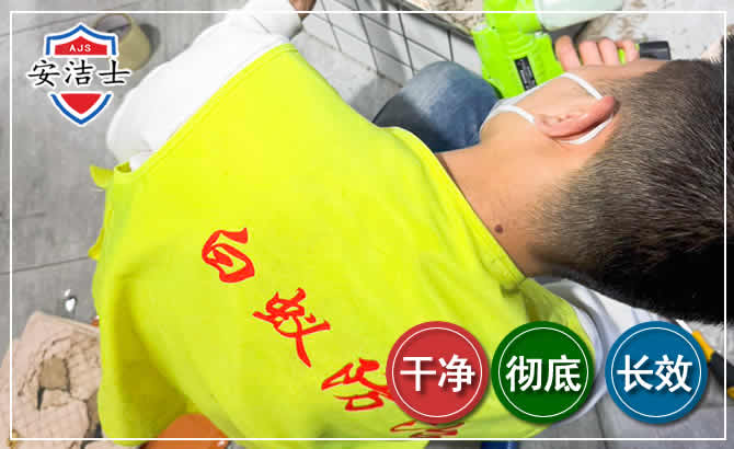 保亭白蚁根治现场